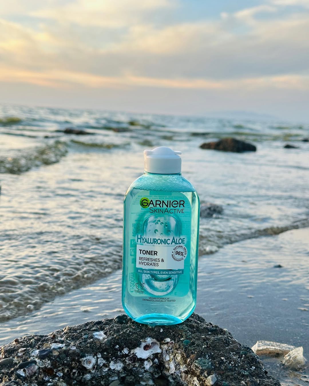 تونر گارنیر